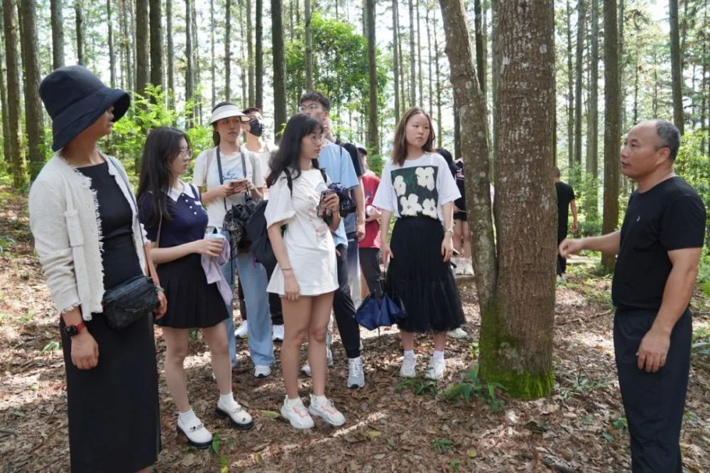 光华沃土寻味追根踏绿浪改革创新启远航福建沙县思政实践中期回顾