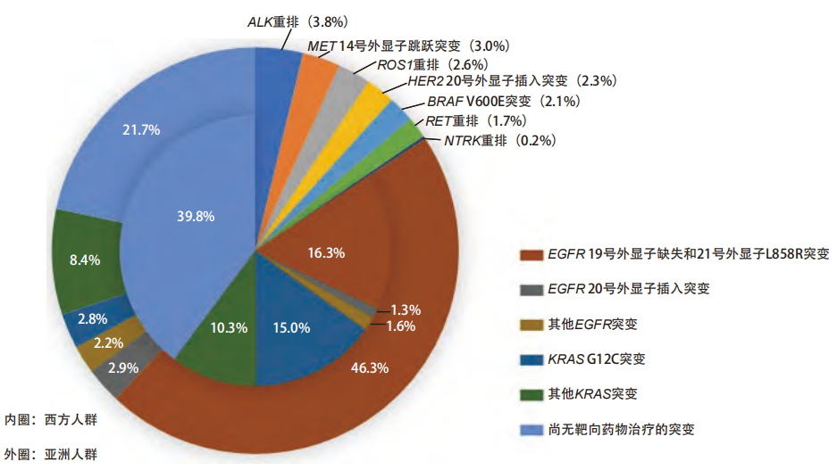 肺癌小分子靶向药获批43种，疗效虽好但合理用药风险几何？