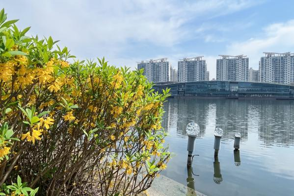 春日"沪"水游丨青浦:湖畔春色别样浓——夏阳湖_腾讯新闻