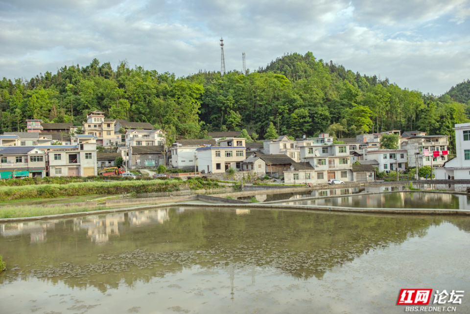 我们游完了边城,十八洞村之后,来到矮寨镇公路观景台欣赏了矮寨大桥的