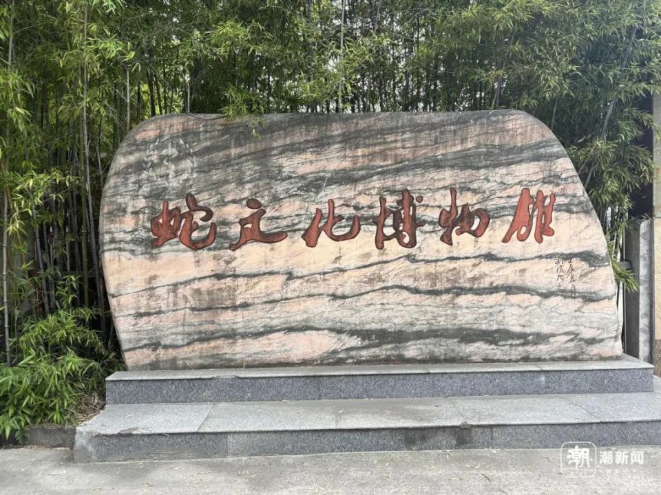 探访“中国第一蛇村”，最高峰时近百户村民养了300多万条蛇