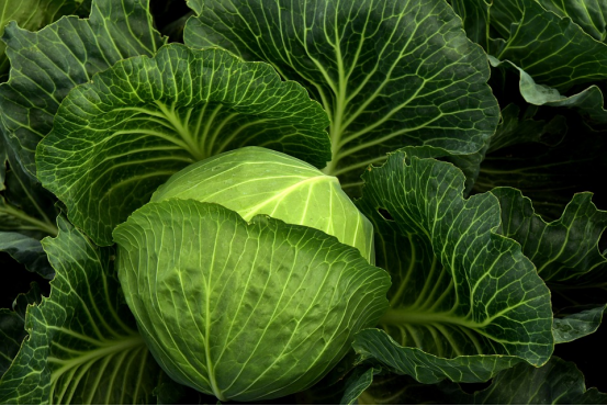 641