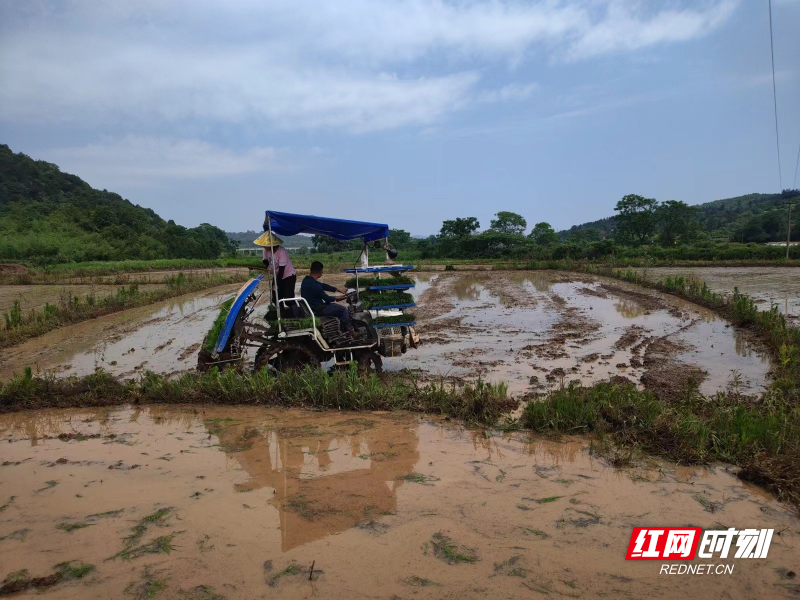 永兴县柏林镇做实田间文章促使农民丰产丰收