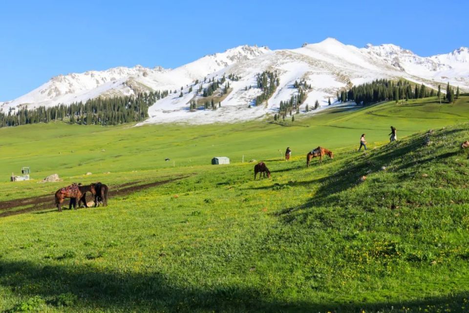 新疆与俄罗斯蒙古交界有个州,面积比两个韩国还大,风景不输瑞士