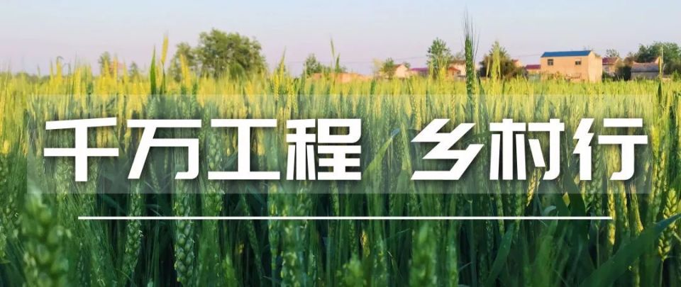 199-e83d30c4776015339a9f7a4b19ea1233按住画面移动小窗x连日来