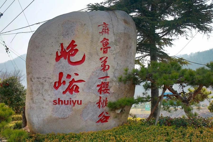 城阳山色峪樱桃花海约你来见