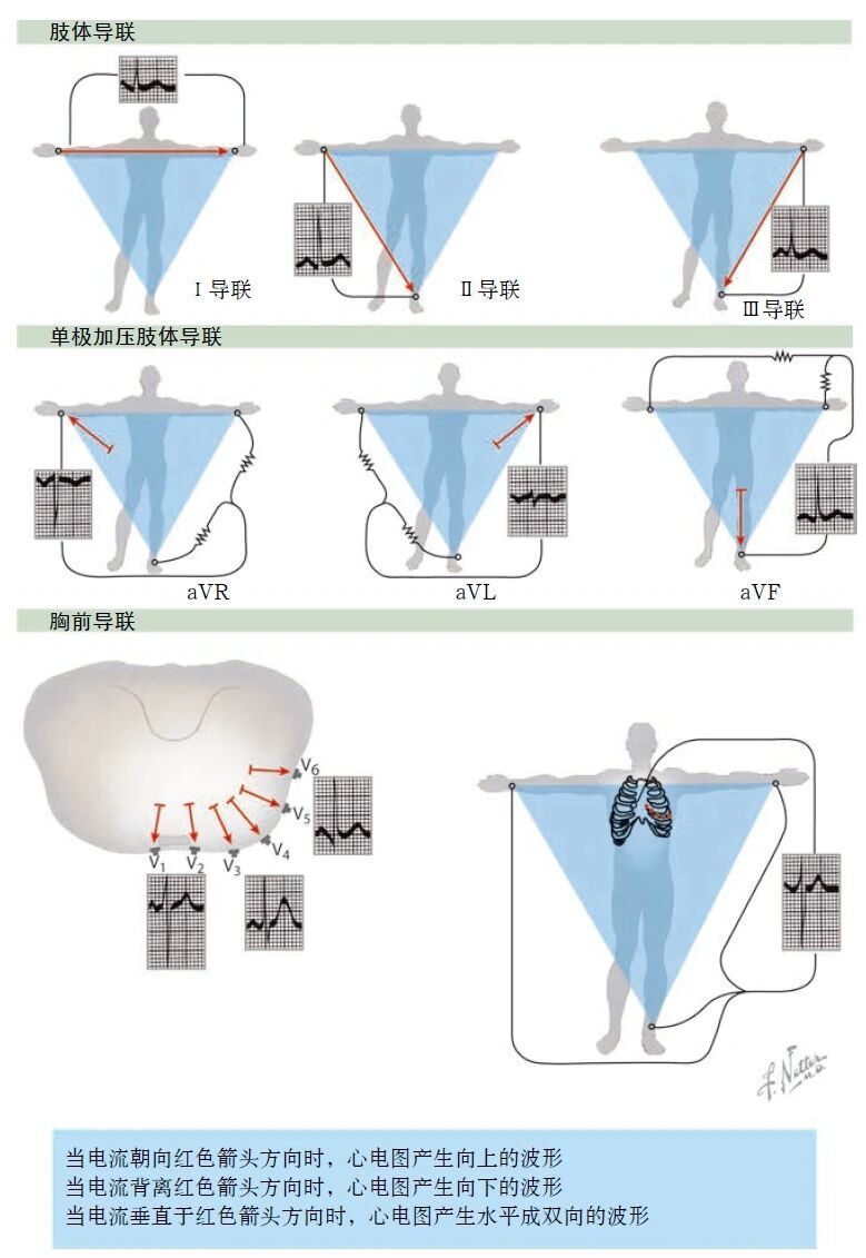 心电图机怎么维护别等“系统报错”才想起维护：一份写给当代打工人的心脏运维指南_https://www.jmylbn.com_新闻资讯_第16张