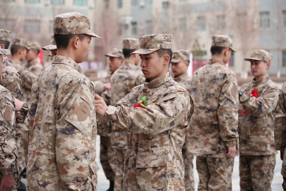 奏响新时代双拥工作强音——克拉玛依区双拥创建工作纪实