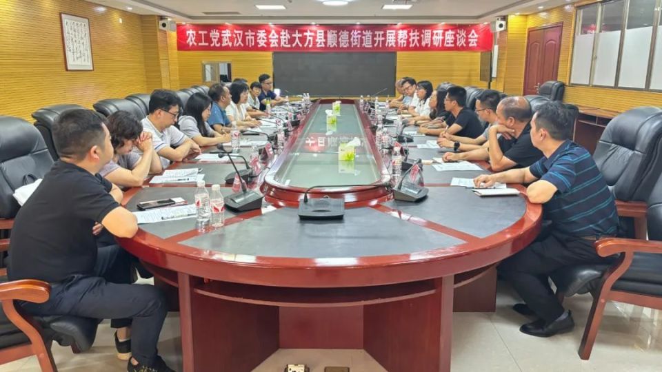 农工党武汉市委会来大方县开展帮扶调研活动_腾讯新闻