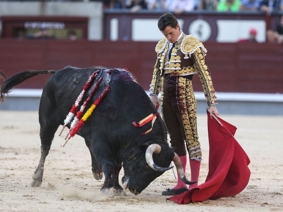 西班牙:斗牛表演