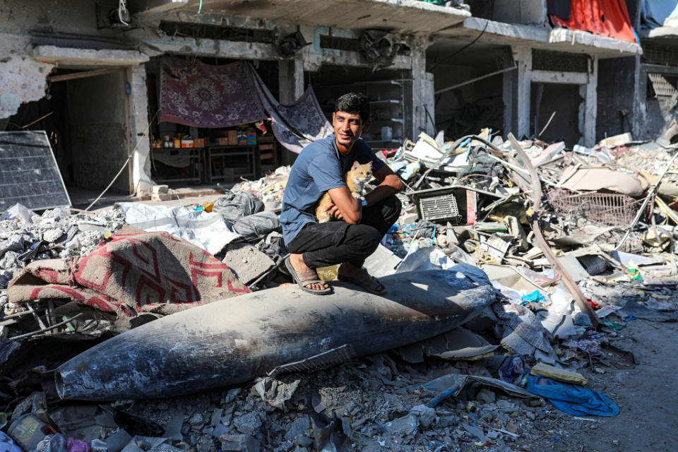 hình ảnh hình ảnh