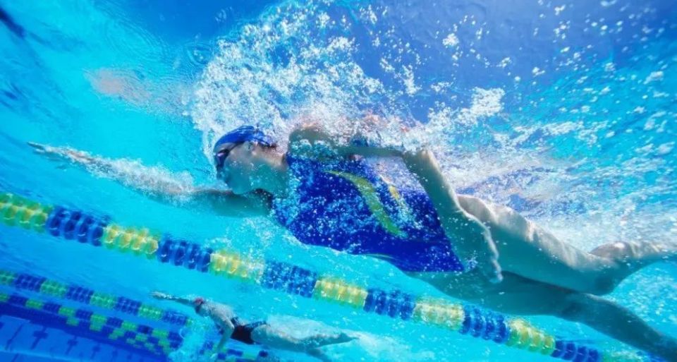 其实自由泳的动作技术很简单,简单到你只要会爬,就会自由泳,要不
