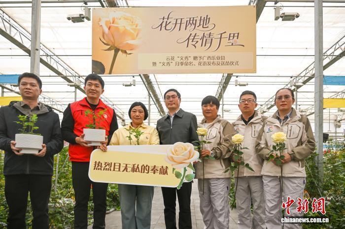 “文秀”月季正式命名 黄文秀家属赴滇迎芳归_腾讯新闻