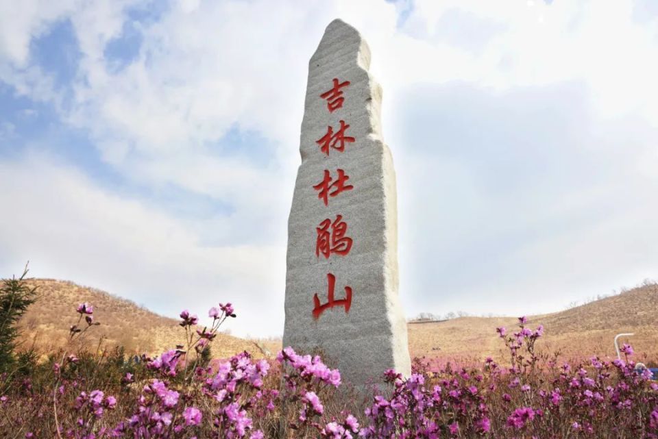 吉林市这个景区已开放!走,赏花去!