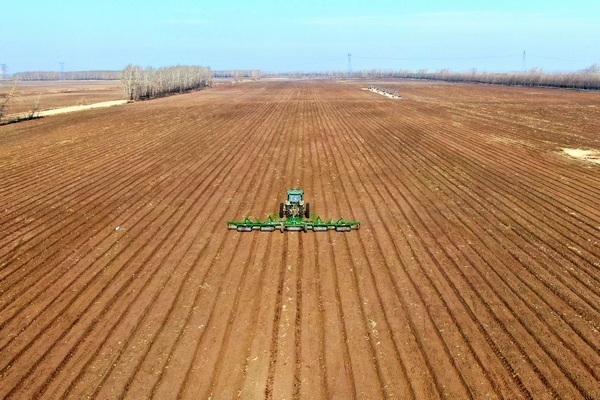 北大荒集团梧桐河农场加快推进旱田秋起垄作业