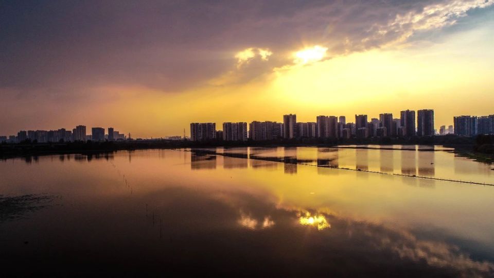 早安洪山野芷湖畔落日余晖