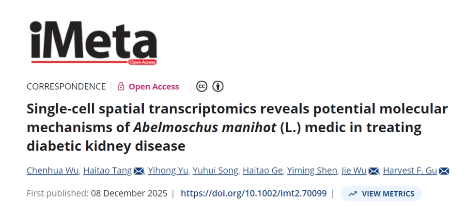 透化治疗什么iMeta ｜ 中国药科大学顾丰组-解析黄葵治疗糖尿病肾病机制_https://www.jmylbn.com_新闻资讯_第1张