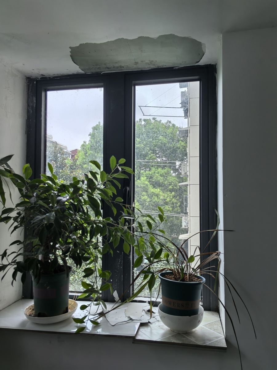 “漏成‘水帘洞’！”沪上居民楼加装电梯刚满两年，暴雨来袭引发“安全之忧”_腾讯新闻