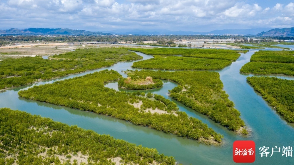瞰海南|航拍陵水红树林国家湿地公园 海上绿洲美如画_腾讯新闻