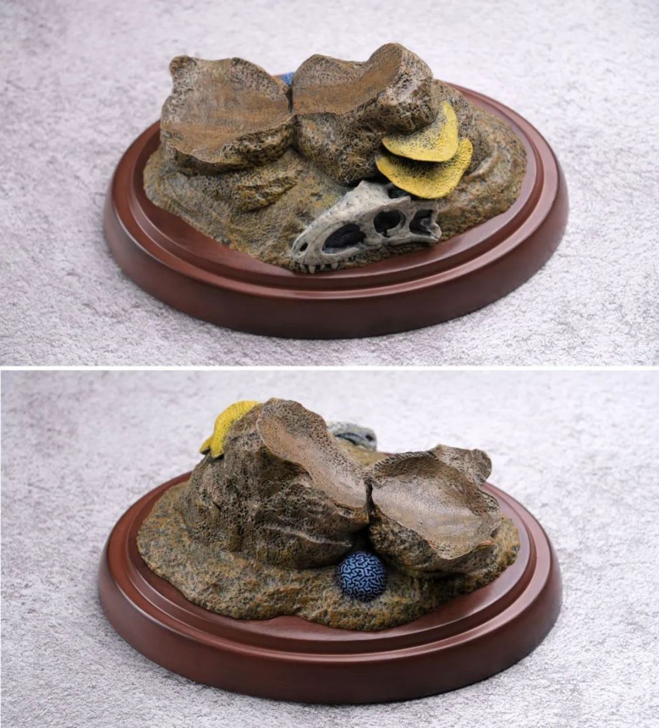 本心楠改沧龙2.0入手