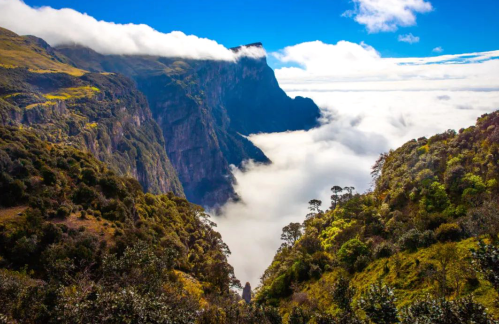 位于美姑县和雷波县交界处的龙头山,属青藏高原边缘的横断山余脉,与