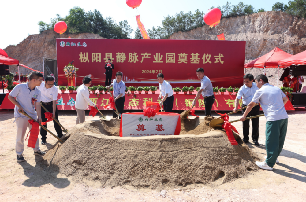 要闻 | 枞阳县静脉产业园项目举行开工奠基仪式