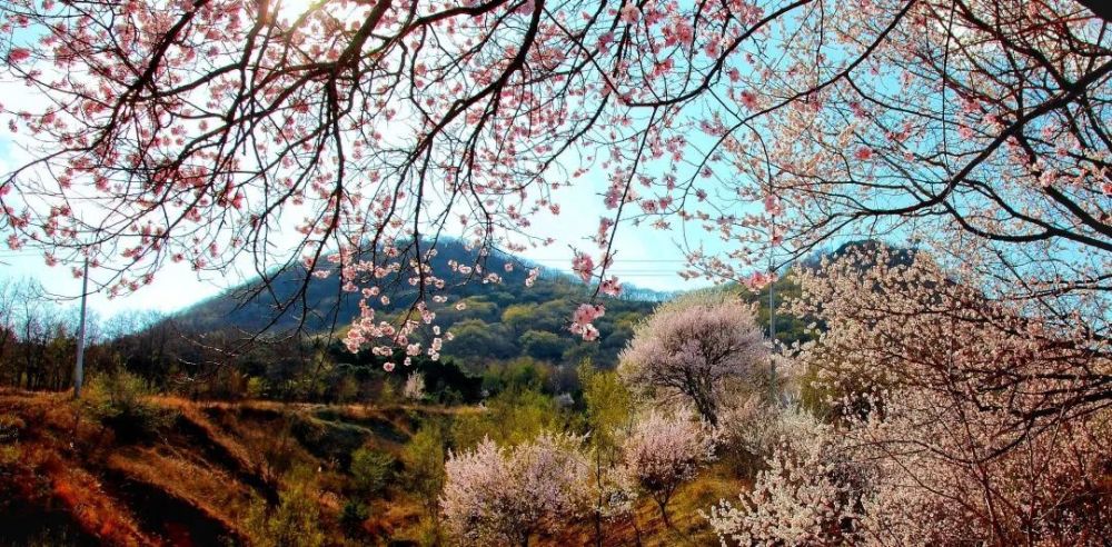 四平的大孤山有你不能错过的美景