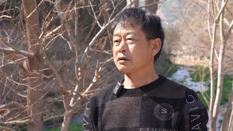 【乡村振兴】平川镇:小蔬菜大产业 春收春景如画