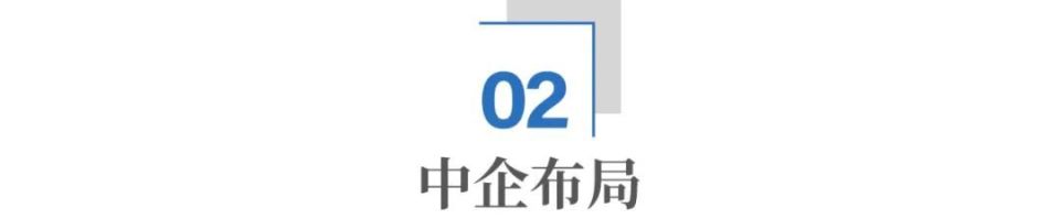 中國企業(yè)布局歐洲，落下關(guān)鍵一子