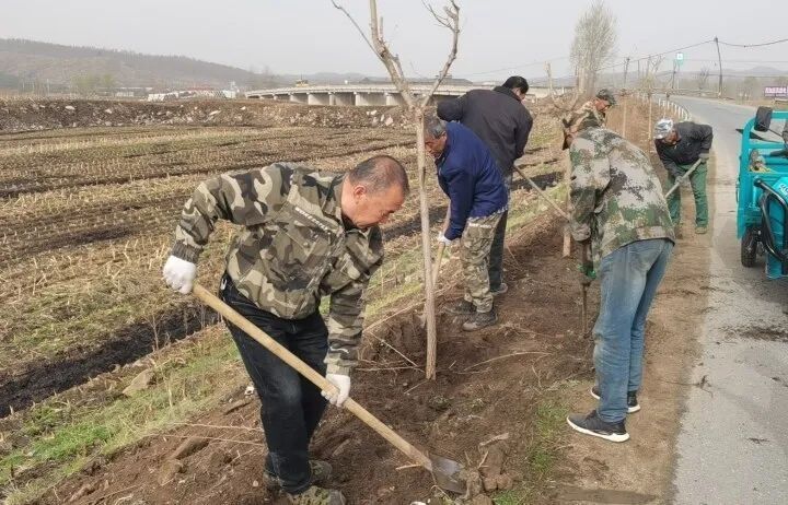 春来铺展千山绿!我市深入开展"绿满铁岭"专项行动