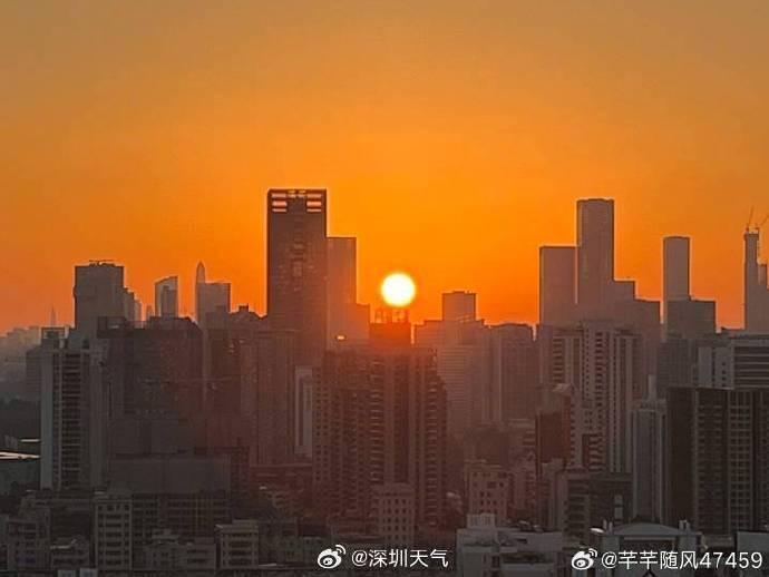 深圳阳光普照,今天适合晒暖儿