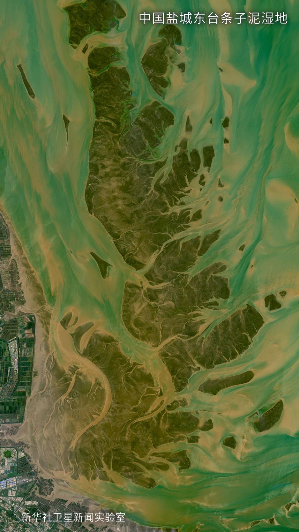 卫星视界· 国际生物多样性日特刊丨卫星图 实景打卡自然保护区