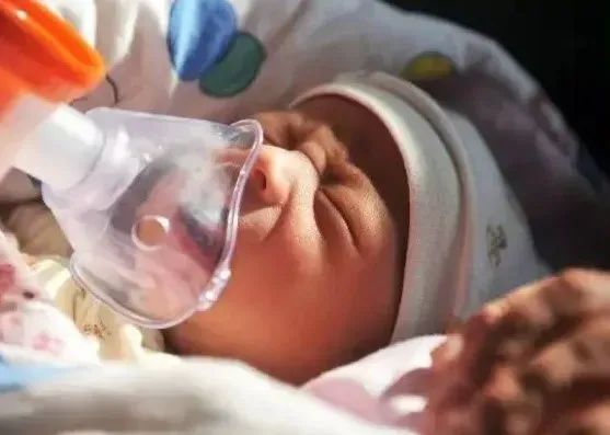 压缩式雾化器怎么用数百块的雾化器和上千块的雾化器，哪个更好？_https://www.jmylbn.com_新闻资讯_第4张