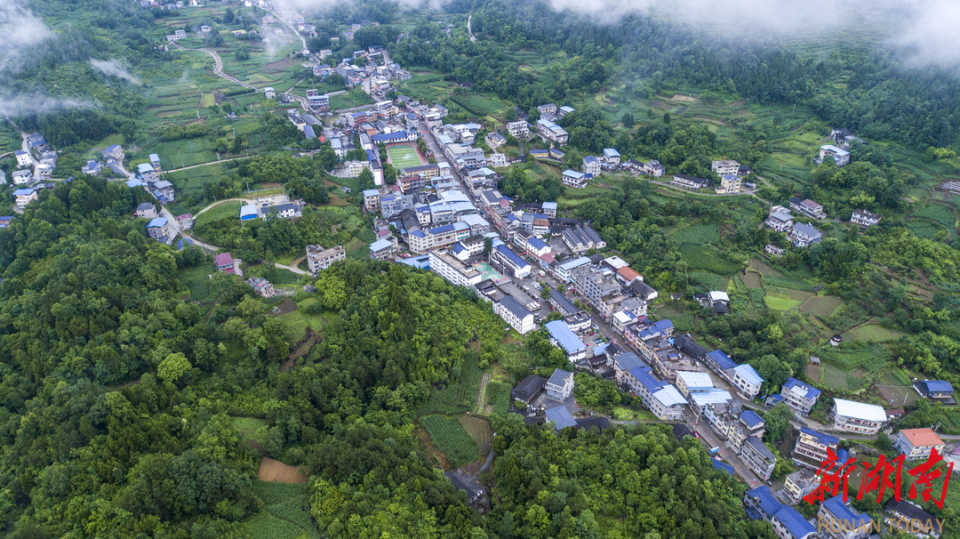 美文欣赏丨春归桥自弯