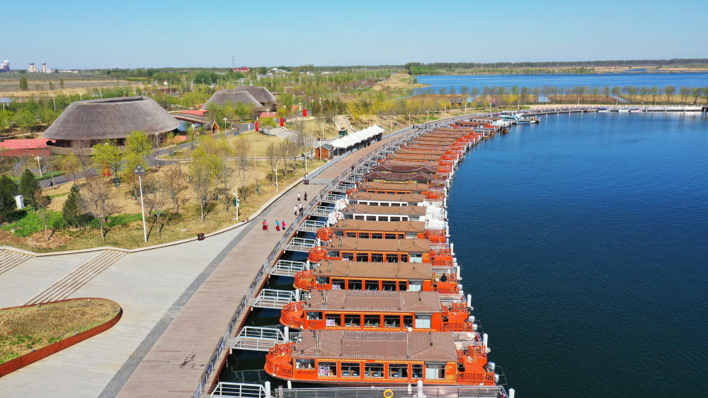 4月7日,白洋淀水上巴士项目画舫船在白洋淀旅游码头内停靠(无人机