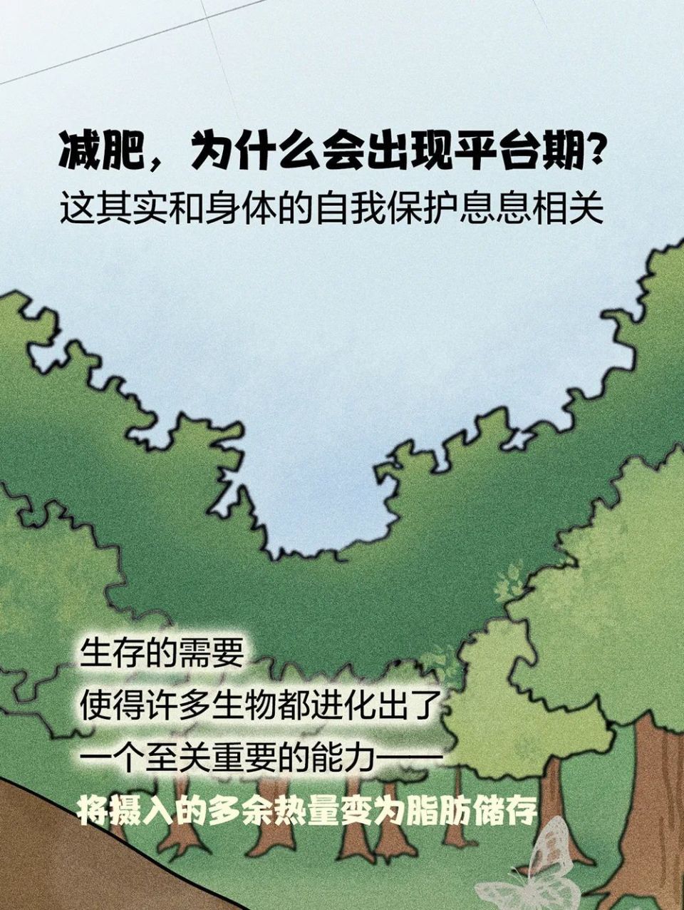 为什么减肥还会有平台期这种东西啊啊啊!