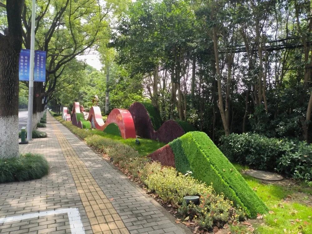 添美景松江街头景观上新啦