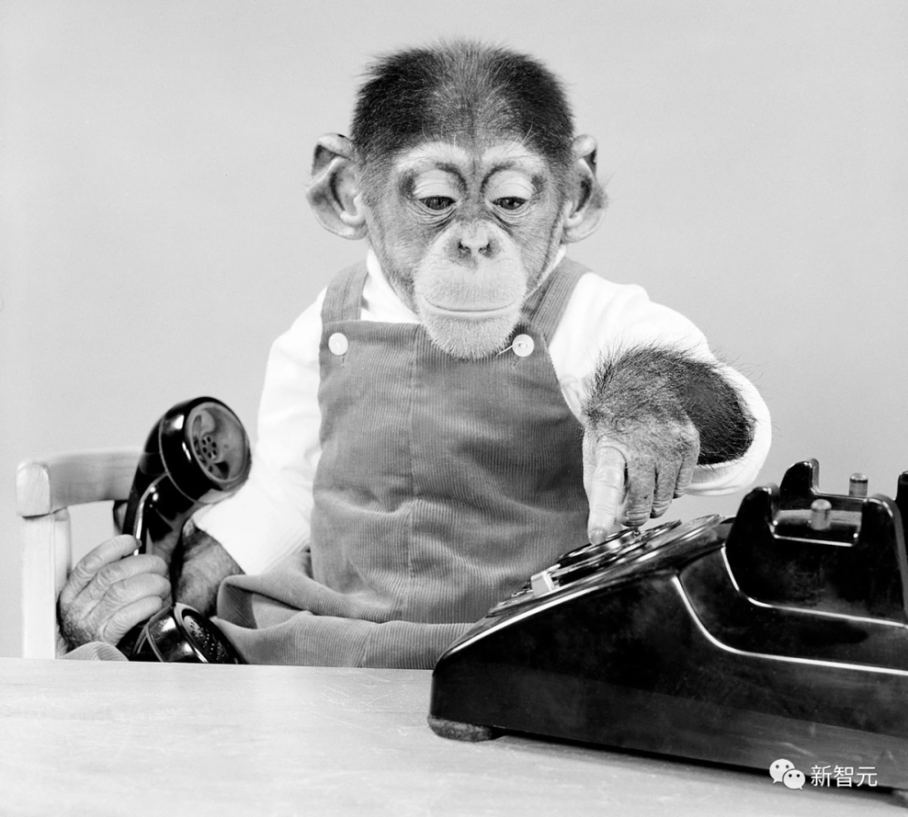 ChatGPT的身体认知边界：大模型能像人一样感知世界吗？