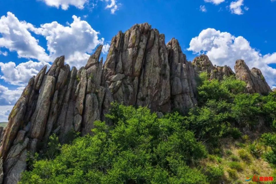 看·锡林郭勒丨"有杨树之山—乌里雅斯太山