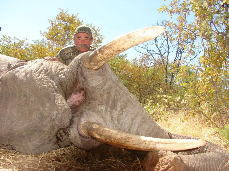 ���ַ����������������5ͷ�����̤����