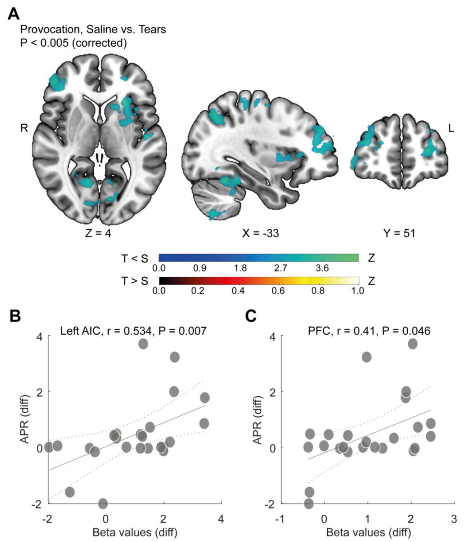 最新研究显示，闻到女性的眼泪，可以减少男性的攻击行为-腾讯新闻