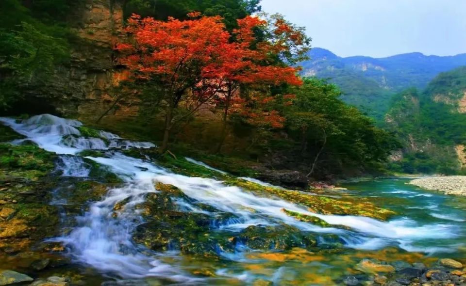 这个秋天我在蟒河等你