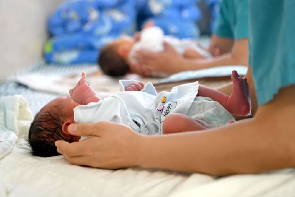 今年新出生人口可能不足800万？媒体称建档孕妇数量确实在下降内容是什么-313啦实用网