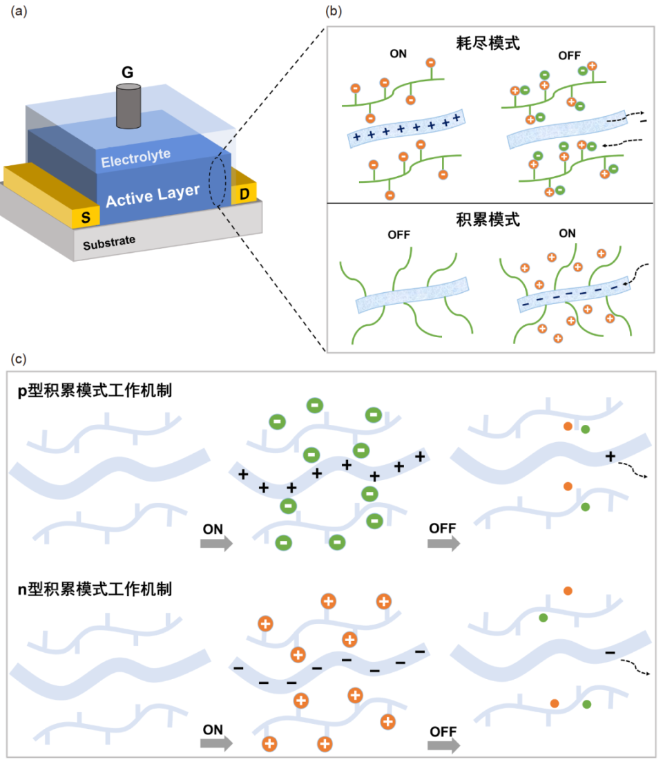 基于有机混合离子-电子导体材料的有机电化学晶体管_腾讯新闻