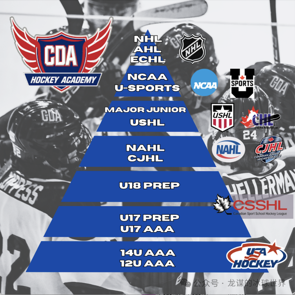 冰球家长】NCAA冰球招募球员政策发生重大改变-腾讯新闻