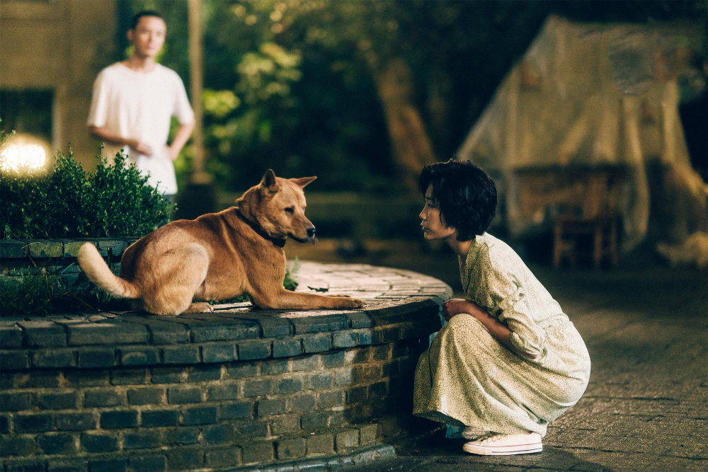 《忠犬八公》豆瓣7.7分,开启高分烂片时代!
