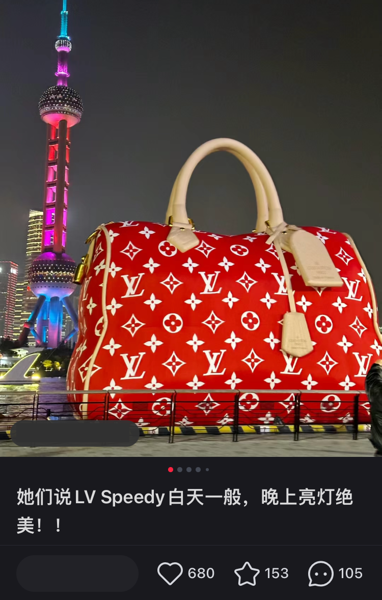 lv蛇皮袋包图片与价格图片