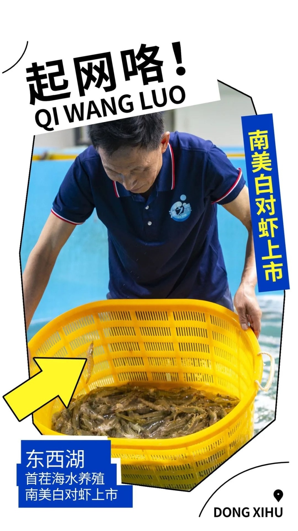 12v海水捕虾机图片
