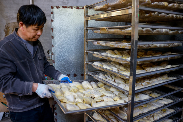 6万余亩,这意味着白马村村民仅每年的流转费收入就达113万元,人均可