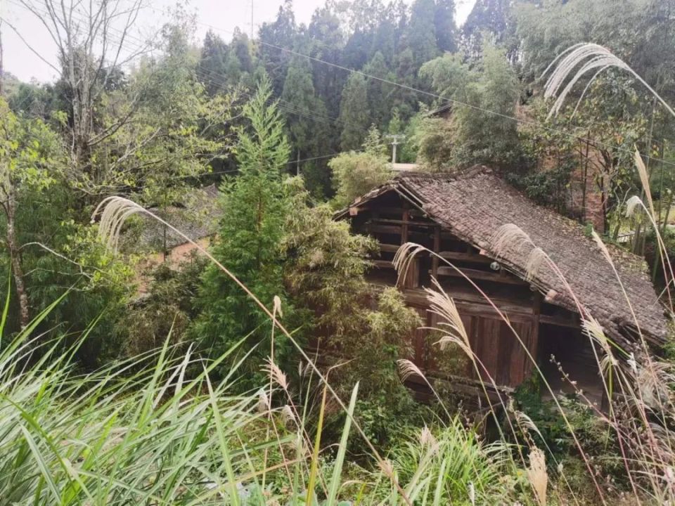 文成也有一個黃山你知道嗎